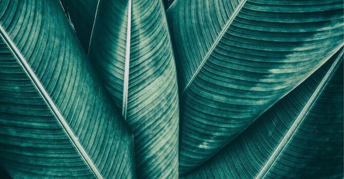 Evaluations and Treatments  