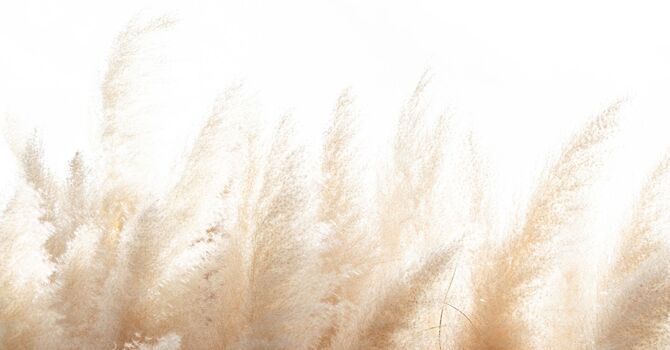 Medical Speech & Language Therapy